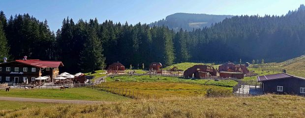 Abenteuer Alpe Alpsee Bergwelt