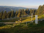 Alpsee Bergwelt Alpsee Coaster Ganzjahres-Rodelbahn