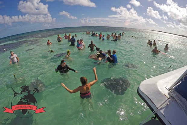 Stingray City Sandbank Karibik Insel Antigua