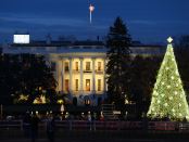 Der Weihnachtsbaum vor dem Weißen Haus in Washington. Foto: Destination DC