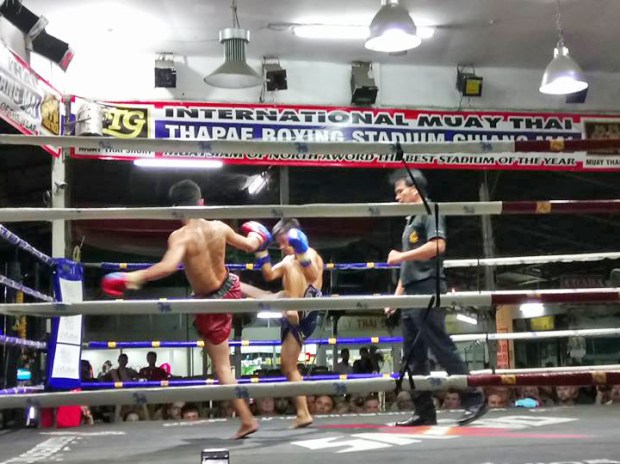 Muay-Thai-Boxen ist nicht jedermanns Sache. Birgit hat es aber gefallen.